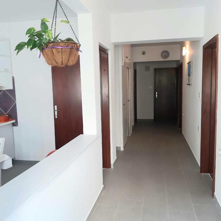 Apartmani Miletic 노비비노돌스키 외부 사진